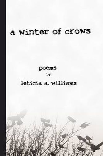 Cover image for A winter of crows