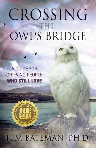 Cover image for Crossing the Owl's Bridge: A Guide for Grieving People Who Still Love