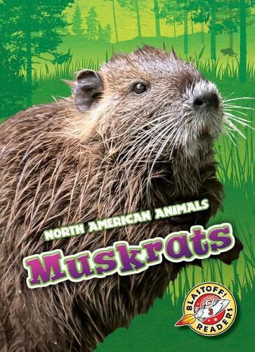 Cover image for Muskrats