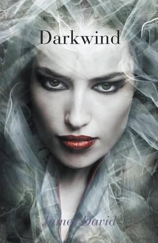 Cover image for Darkwind