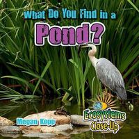 Cover image for What Do You Find in a Pond?