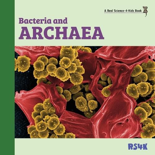 Cover image for Bacteria and Archaea