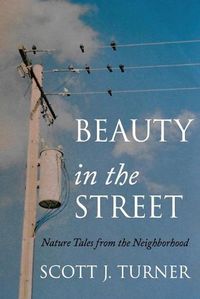 Cover image for Beauty in the Street: Nature Tales from the Neighborhood