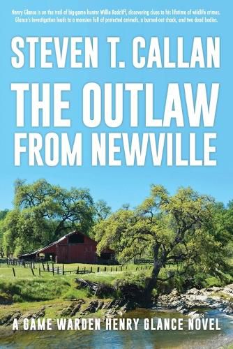 Cover image for The Outlaw from Newville