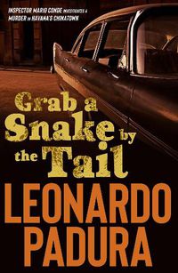 Cover image for Grab a Snake by the Tail