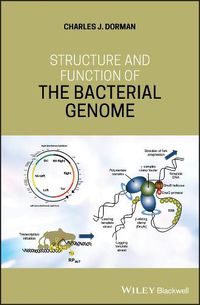 Cover image for Structure and Function of the Bacterial Genome