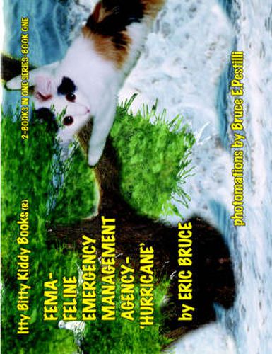 Cover image for Fema-Feline Emergency Management Agency-Hurricane: 2- Books in One Series - Books One and Two