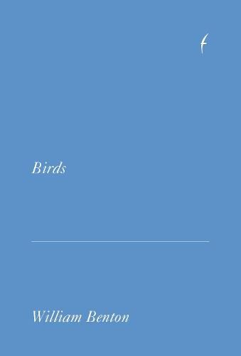 Cover image for Birds