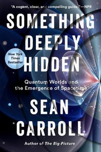 Cover image for Something Deeply Hidden: Quantum Worlds and the Emergence of Spacetime