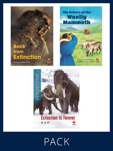 Cover image for Flying Start Paired & Perspective Pack Level V, Pack 4: Includes Pair of Student Books (SB) 6 copies each, Perspectives Books 6 copie