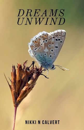 Cover image for Dreams Unwind