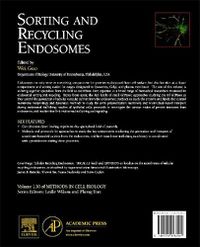 Cover image for Sorting and Recycling Endosomes