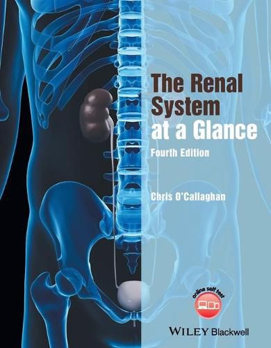 Cover image for The Renal System at a Glance 4e