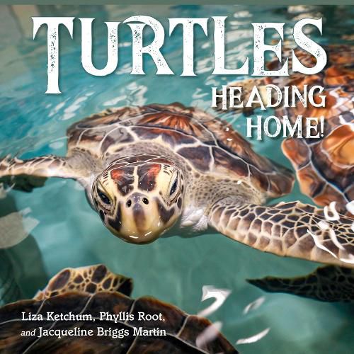 Cover image for Turtles Heading Home!