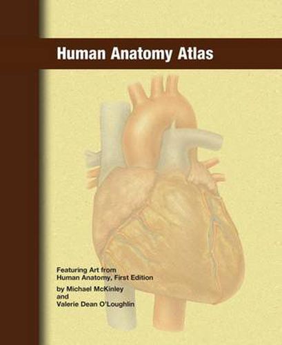 Cover image for Human Anatomy Atlas