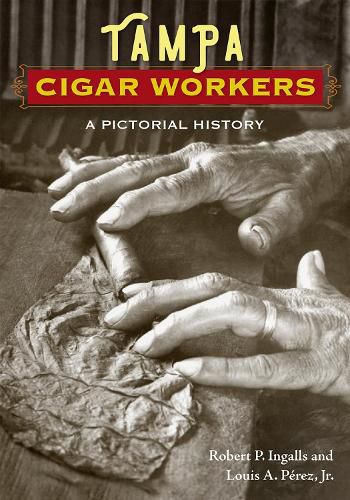 Cover image for Tampa Cigar Workers