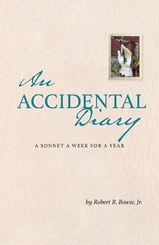 Cover image for An Accidental Diary