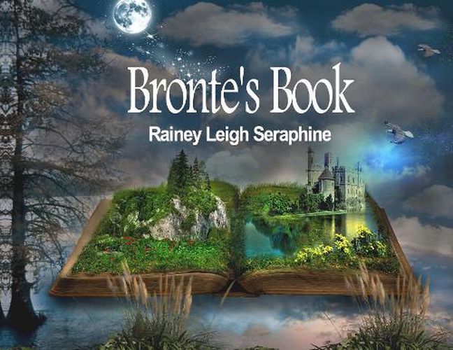 Cover image for Bronte's Book