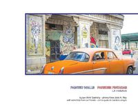 Cover image for Painted Walls Havana