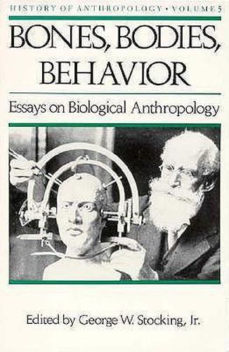 Cover image for Bones, Bodies, Behaviour: Essays in Biological Anthropology