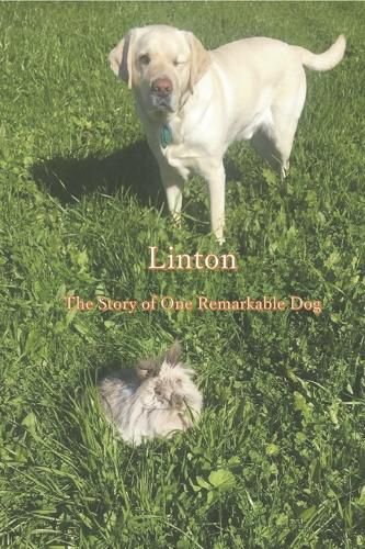 Cover image for Linton: The Story of One Remarkable Dog