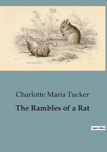 Cover image for The Rambles of a Rat