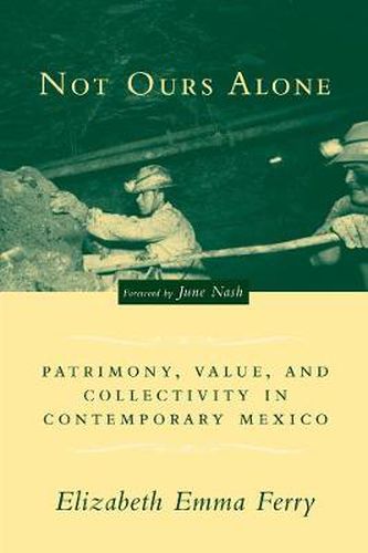 Cover image for Not Ours Alone: Patrimony, Value, and Collectivity in Contemporary Mexico