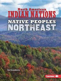 Cover image for Northeast: Native Peoples