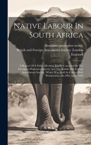 Cover image for Native Labour In South Africa