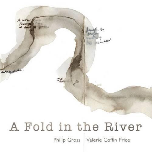 Cover image for A Fold in the River