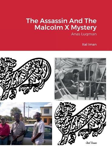 Cover image for The Assassin And The Malcolm X Mystery