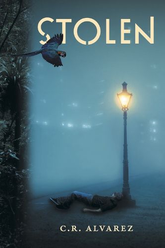 Cover image for Stolen