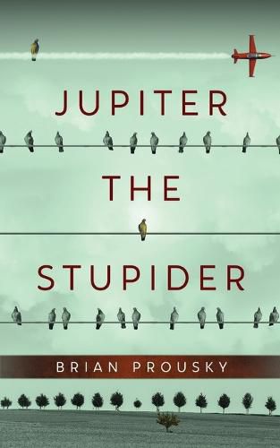 Cover image for Jupiter the Stupider