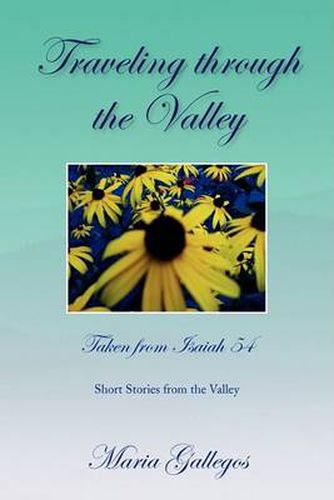 Cover image for Traveling Through the Valley: Short Stories from the Valley