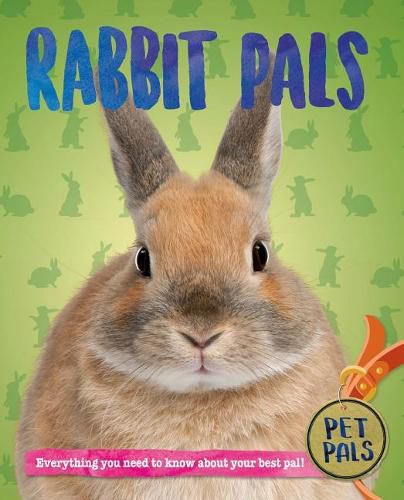 Cover image for Rabbit Pals