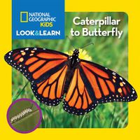 Cover image for Nat Geo Kids Look And Learn Caterpillar To Butterfly