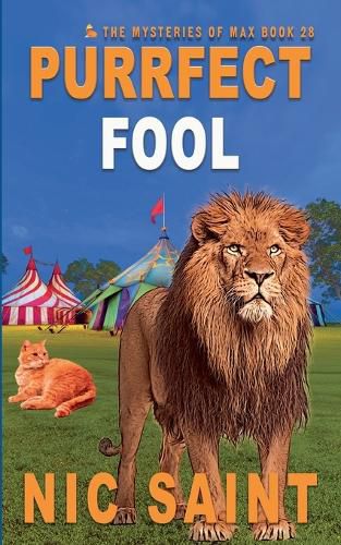Cover image for Purrfect Fool