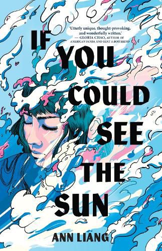 Cover image for If You Could See the Sun