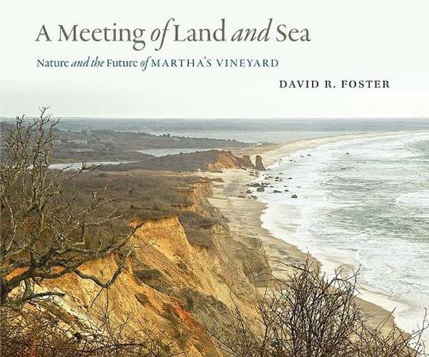 Cover image for A Meeting of Land and Sea: Nature and the Future of Martha's Vineyard