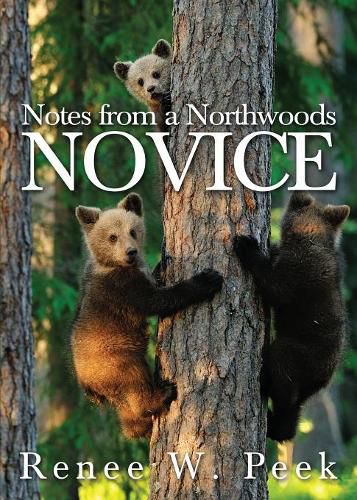 Cover image for Notes from a Northwoods Novice