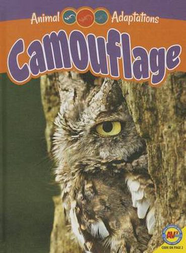 Cover image for Camouflage