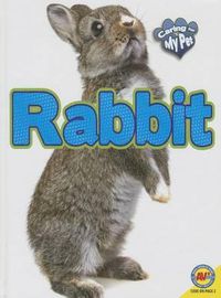 Cover image for Rabbit