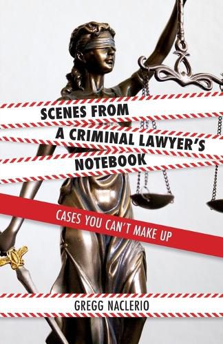 Cover image for Scenes from a Criminal Lawyer's Notebook