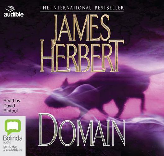 Cover image for Domain