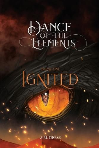 Cover image for Ignited