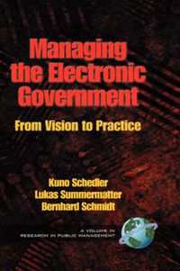 Cover image for Managing the Electronic Government: From Vision to Practice