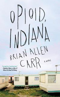Cover image for Opioid, Indiana