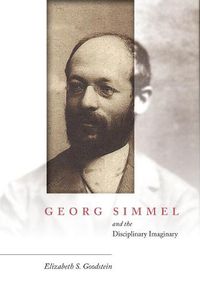 Cover image for Georg Simmel and the Disciplinary Imaginary