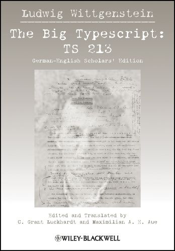 Cover image for The Big Typescript: TS 213
