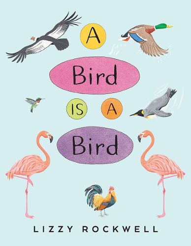 Cover image for A Bird Is a Bird